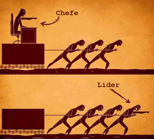 chefeelider